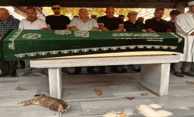 Şizofreni hastası emekli polis dehşet saçtı, Bir Taksi Şoförü Daha Öldü..